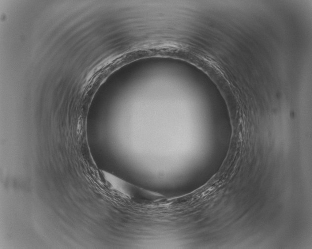 X0000052980920200507291548