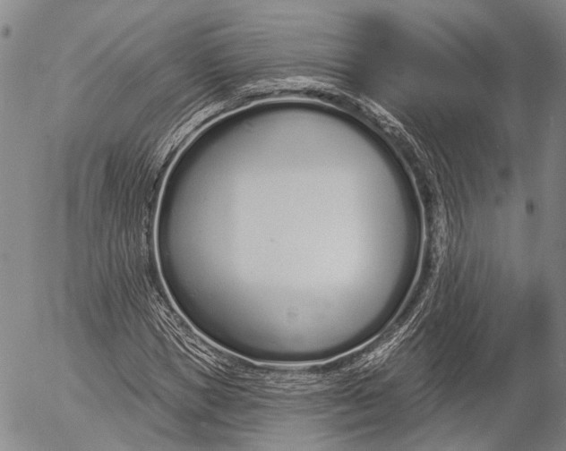 X0000052980921200507291548