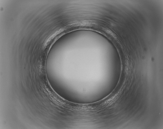 X0000052980922200507291548