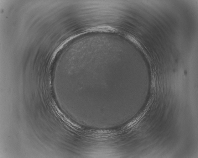 X0000052980923200507291548