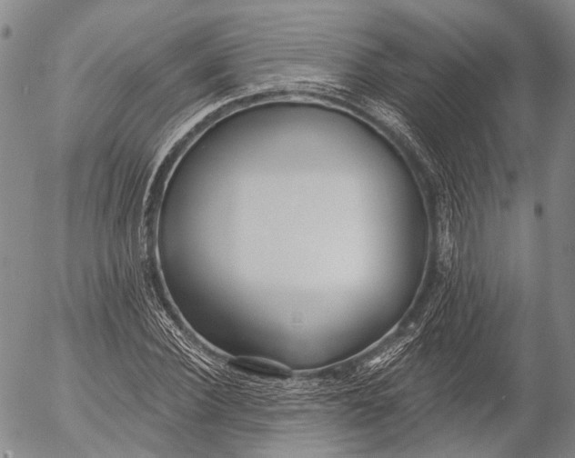 X0000052980924200507291548