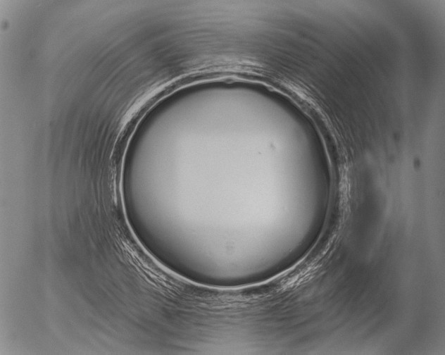 X0000052980925200507291548