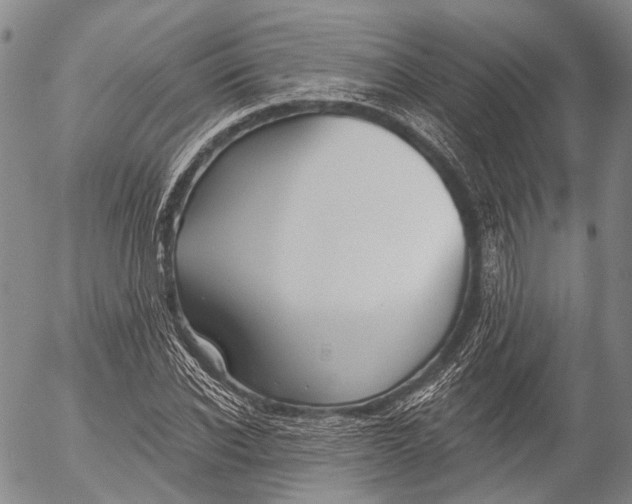 X0000052980926200507291548