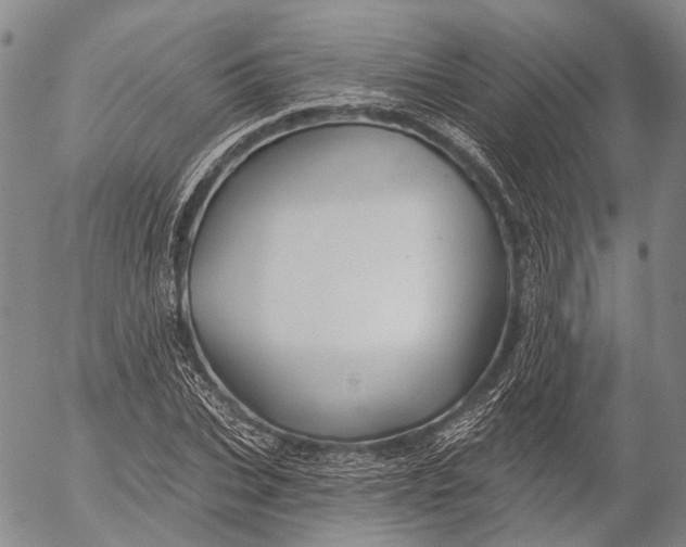 X0000052980927200507291548