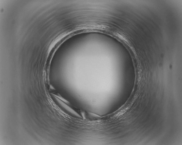 X0000052980928200507291548