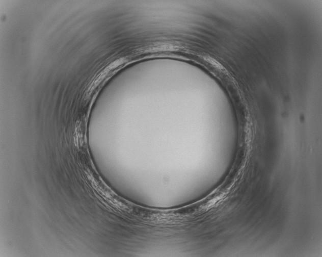 X0000052980929200507291548