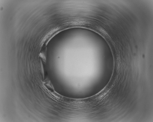 X0000052980930200507291548