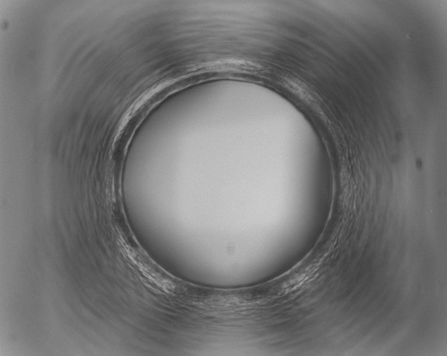 X0000052980931200507291548