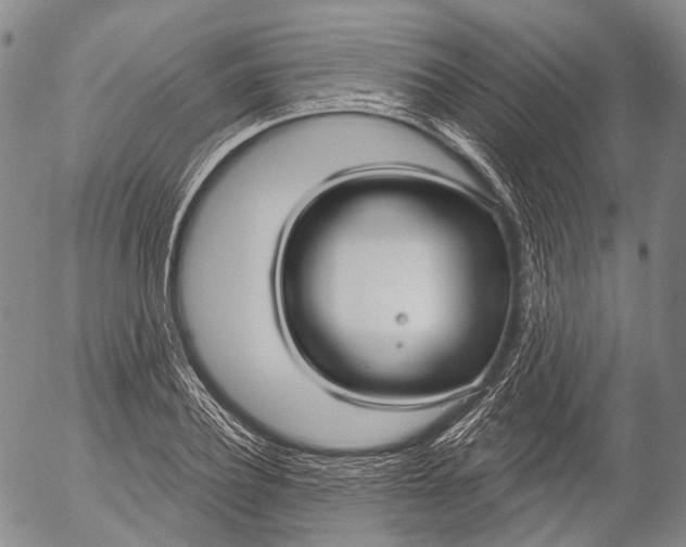 X0000052980932200507291548