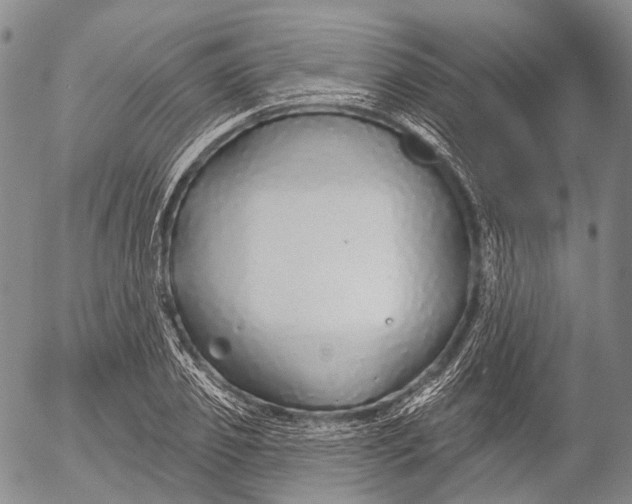 X0000052980933200507291548