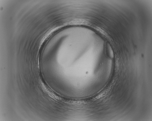 X0000052980934200507291548