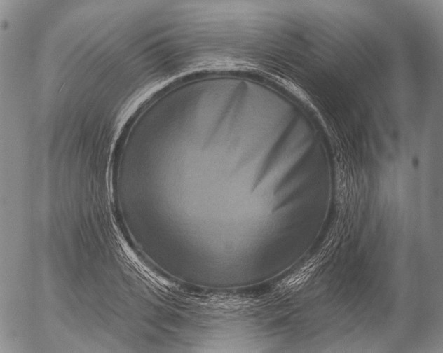 X0000052980935200507291548