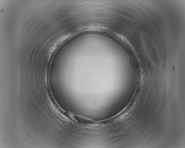 X0000052980938200507291548