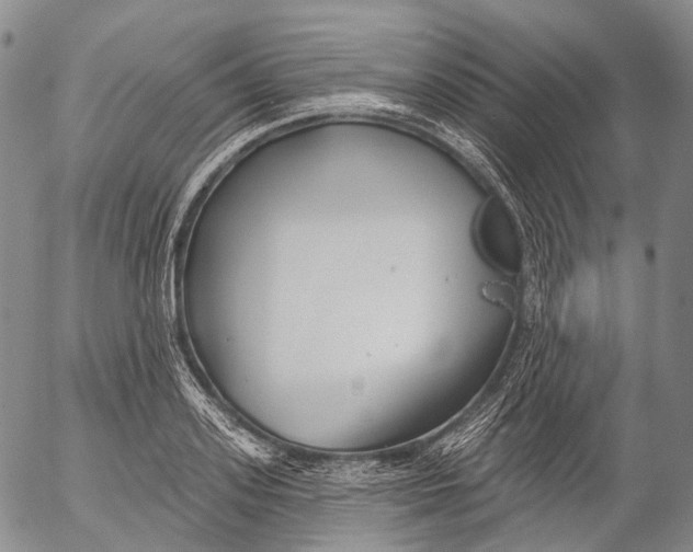 X0000052980939200507291548