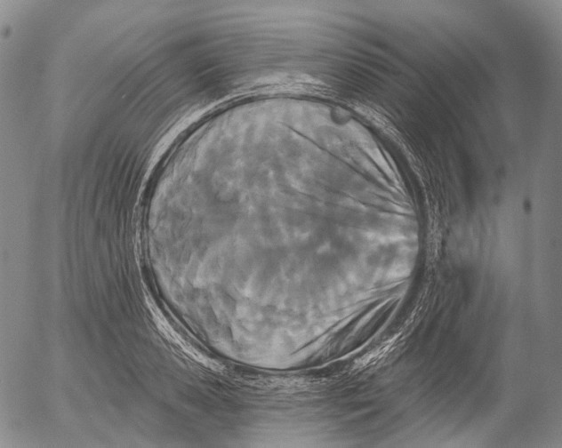 X0000052980941200507291548