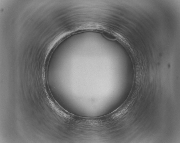 X0000052980942200507291548