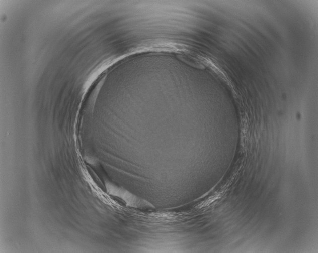 X0000052980944200507291548