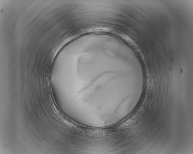 X0000052980945200507291548