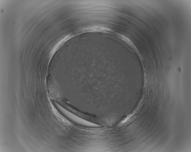 X0000052980946200507291548