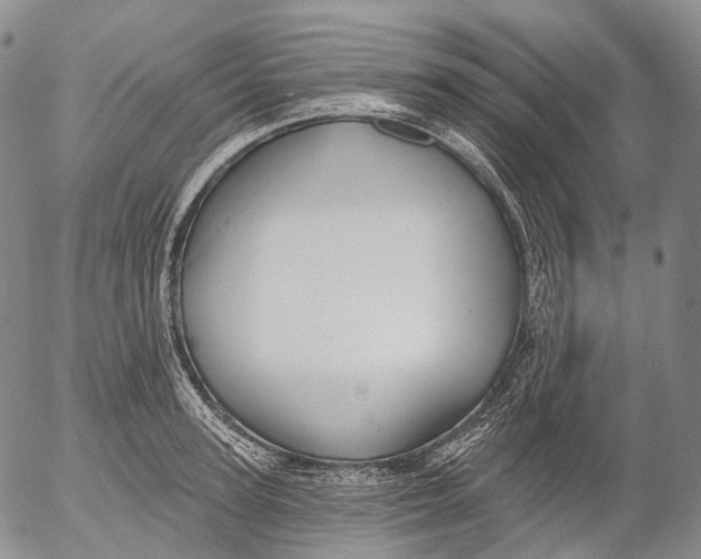 X0000052980947200507291548