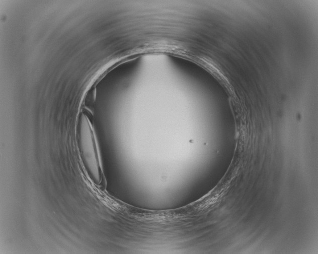 X0000052980948200507291548