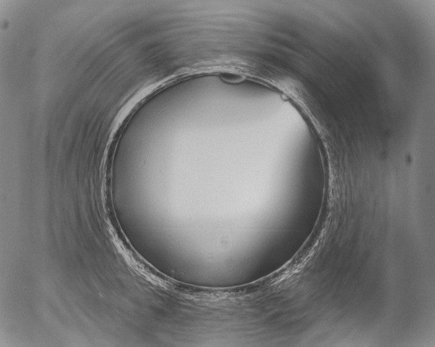 X0000052980949200507291548