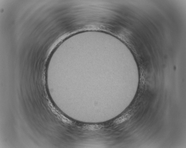 X0000052980950200507291548