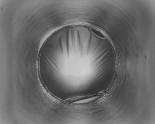 X0000052980951200507291548