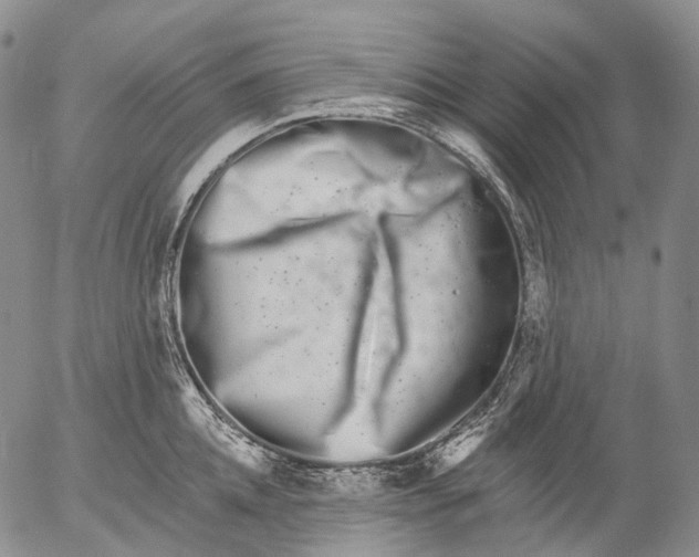 X0000052980952200507291548