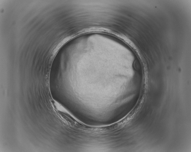 X0000052980953200507291548