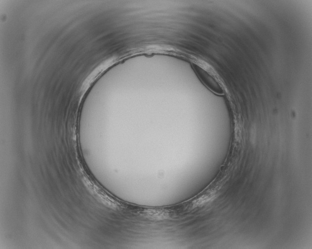 X0000052980954200507291548