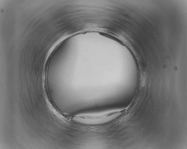 X0000052980955200507291548