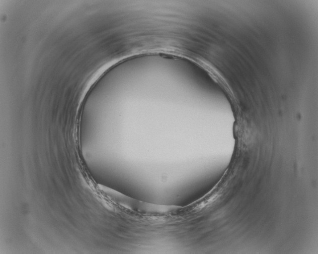 X0000052980956200507291548