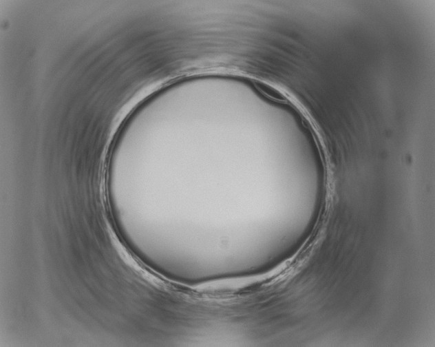 X0000052980957200507291548