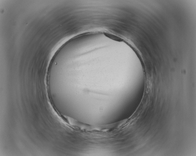 X0000052980959200507291548