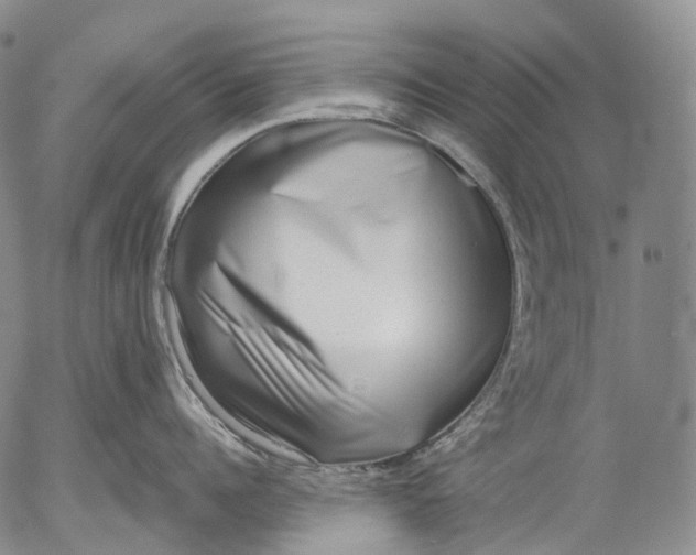 X0000052980960200507291548