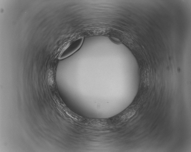 X0000052980962200507291547