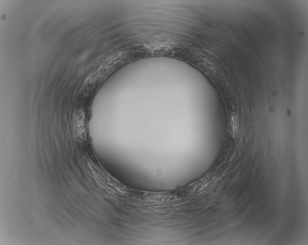 X0000052980963200507291547