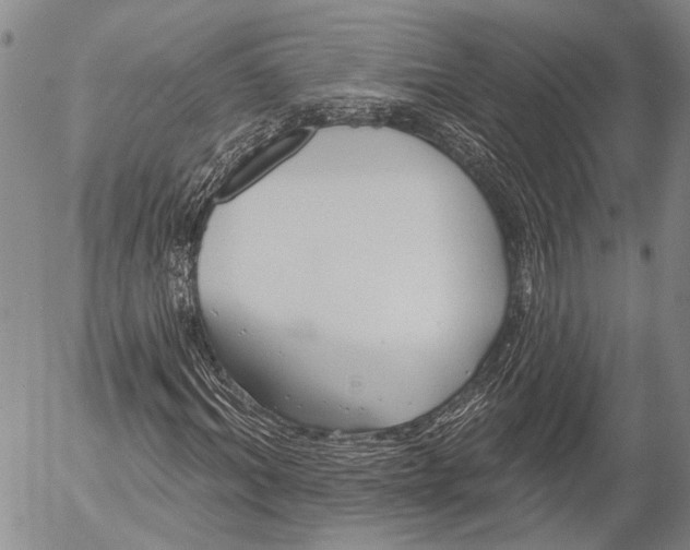 X0000052980964200507291547