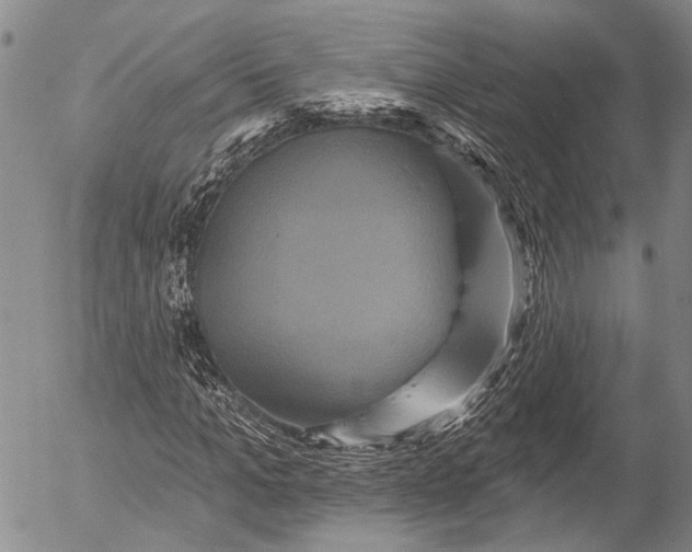 X0000052980965200507291547