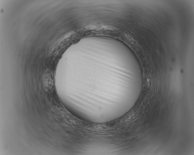 X0000052980966200507291547