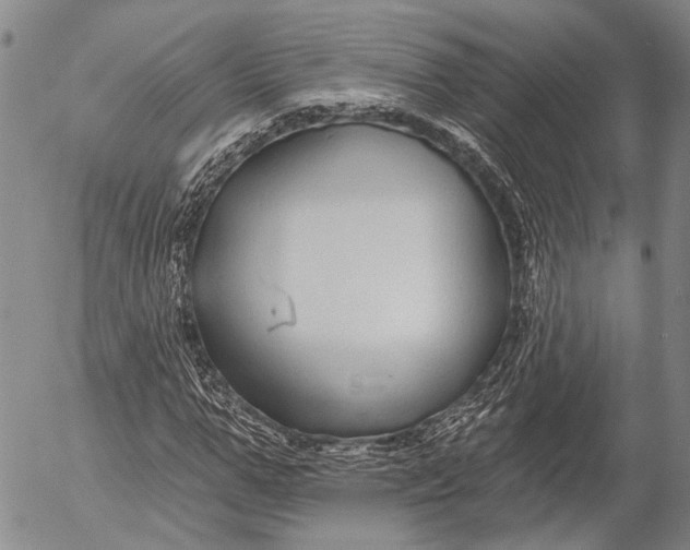 X0000052980967200507291547