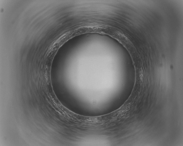 X0000052980968200507291547