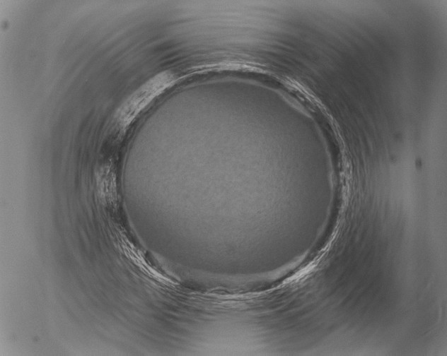 X0000052980969200507291547