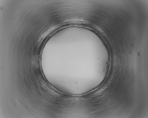 X0000052980970200507291547