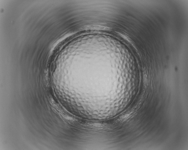 X0000052980971200507291547