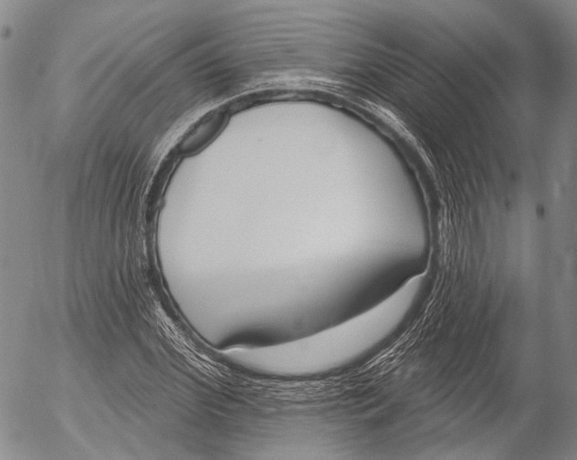 X0000052980972200507291547