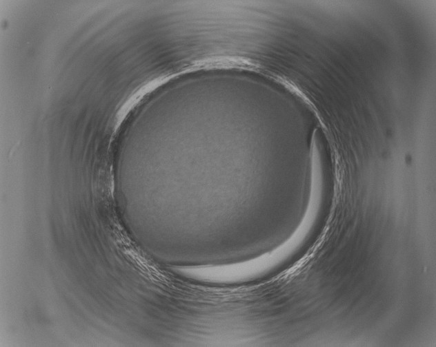 X0000052980973200507291547