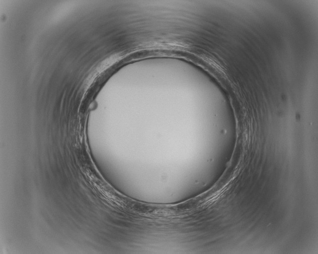 X0000052980974200507291547