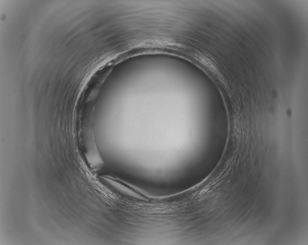 X0000052980976200507291547